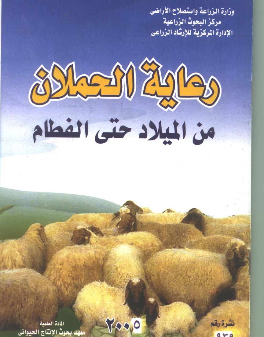 رعاية الحملان